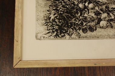 (P-1067) Viiralt, trükirepro Marrakechi maastik