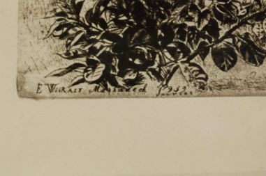 (P-1067) Viiralt, trükirepro Marrakechi maastik