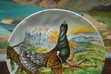 (n-7024) Kaiser, kollektsioontaldrik "Metsis"