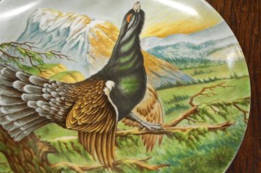 (n-7024) Kaiser, kollektsioontaldrik "Metsis"