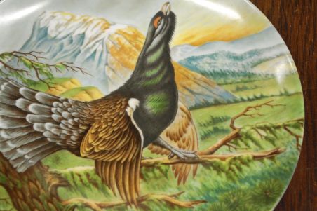 (n-7024) Kaiser, kollektsioontaldrik "Metsis"