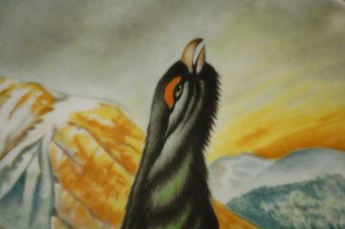 (n-7024) Kaiser, kollektsioontaldrik "Metsis"