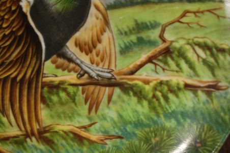 (n-7024) Kaiser, kollektsioontaldrik "Metsis"