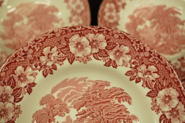 (n-7052) Enoch Wedgwood LTD, Woodland, supi-pastataldrikud, 5tk