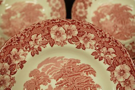 (n-7052) Enoch Wedgwood LTD, Woodland, supi-pastataldrikud, 5tk