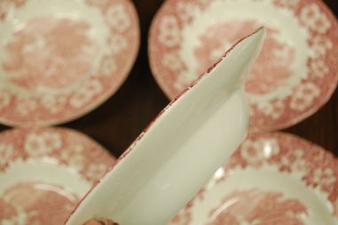 (n-7052) Enoch Wedgwood LTD, Woodland, supi-pastataldrikud, 5tk