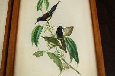 (n-7123) Lindudega pildid, 2tk komplektis