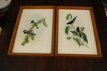 (n-7123) Lindudega pildid, 2tk komplektis