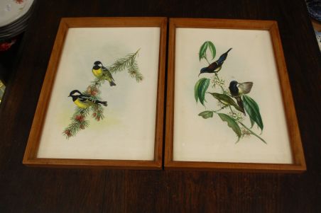 (n-7123) Lindudega pildid, 2tk komplektis