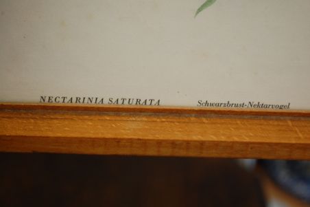 (n-7123) Lindudega pildid, 2tk komplektis