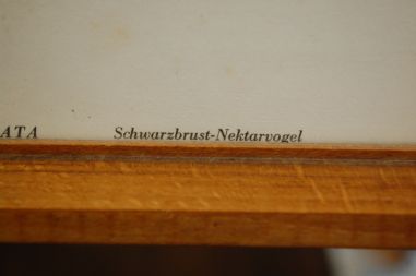 (n-7123) Lindudega pildid, 2tk komplektis