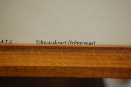 (n-7123) Lindudega pildid, 2tk komplektis