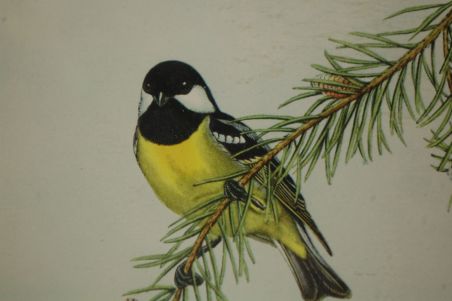 (n-7123) Lindudega pildid, 2tk komplektis