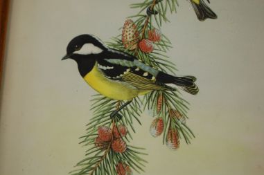 (n-7123) Lindudega pildid, 2tk komplektis