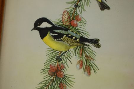 (n-7123) Lindudega pildid, 2tk komplektis