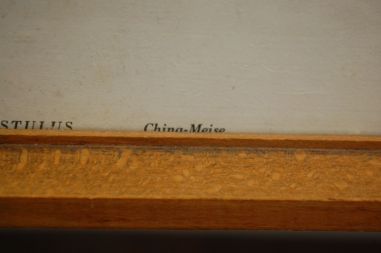 (n-7123) Lindudega pildid, 2tk komplektis