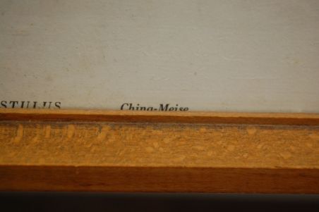 (n-7123) Lindudega pildid, 2tk komplektis