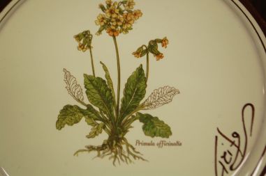 (n-7130) Taimedega toos 13/680