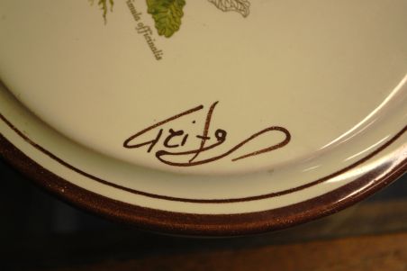 (n-7130) Taimedega toos 13/680