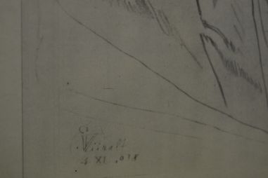 (P-1071) Viiralt, trükirepro Noor berberlanna