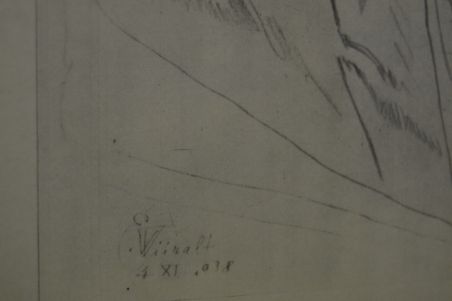 (P-1071) Viiralt, trükirepro Noor berberlanna