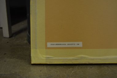 (P-1071) Viiralt, trükirepro Noor berberlanna