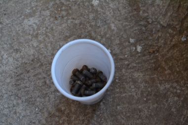 (L-696) Vanad kinosaali või teatritoolid, 4 istmega komplekt