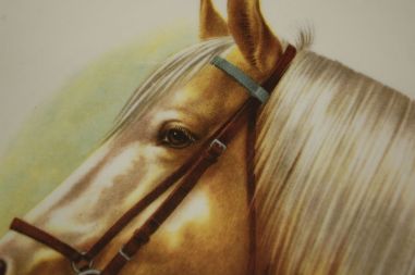 (n-7140) Vaagen "Hobune"