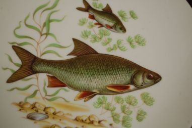 (n-7345) bavaria Bareuther Waldsassen, kalataldrikud, 6tk