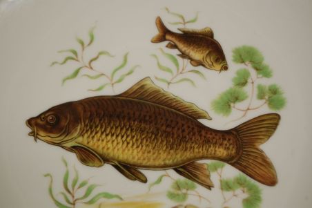 (n-7345) bavaria Bareuther Waldsassen, kalataldrikud, 6tk (n-7345) bavaria Bareuther Waldsassen, kalataldrikud, 6tk