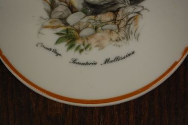 (n-7350/5) Mads Stage, portselanist lõikelaud/ kuumaalus "Part", 1tk