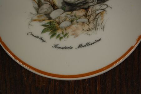 (n-7350/5) Mads Stage, portselanist lõikelaud/ kuumaalus "Part", 1tk