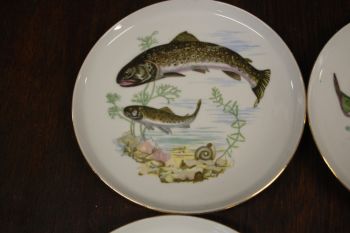 (n-7330) CP Colditz, kalataldrikud, 6tk 2