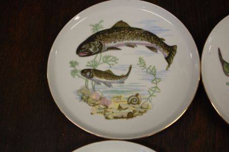 (n-7330) CP Colditz, kalataldrikud, 6tk