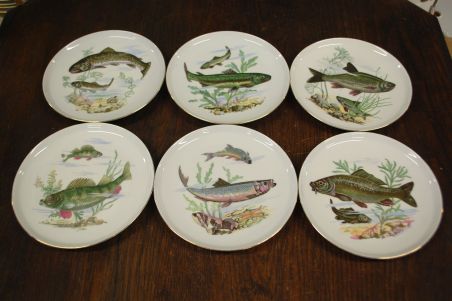 (n-7330) CP Colditz, kalataldrikud, 6tk