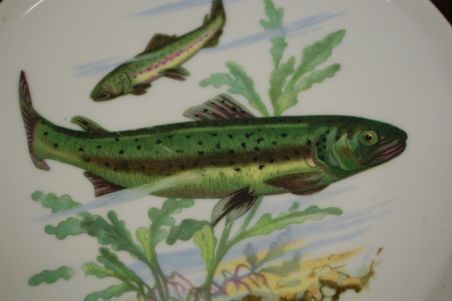 (n-7330) CP Colditz, kalataldrikud, 6tk