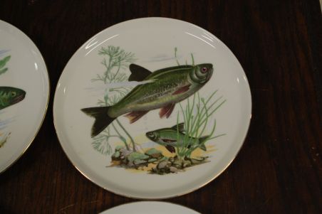 (n-7330) CP Colditz, kalataldrikud, 6tk