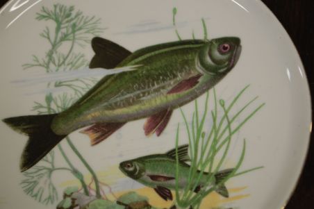 (n-7330) CP Colditz, kalataldrikud, 6tk