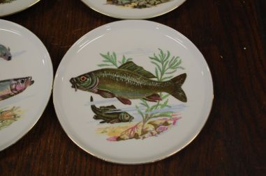 (n-7330) CP Colditz, kalataldrikud, 6tk