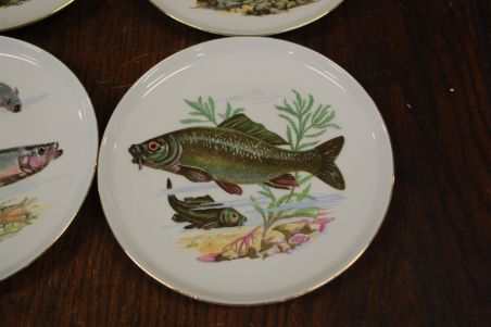 (n-7330) CP Colditz, kalataldrikud, 6tk