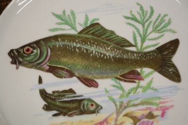 (n-7330) CP Colditz, kalataldrikud, 6tk