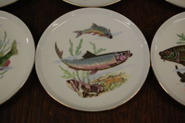 (n-7330) CP Colditz, kalataldrikud, 6tk