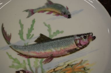 (n-7330) CP Colditz, kalataldrikud, 6tk