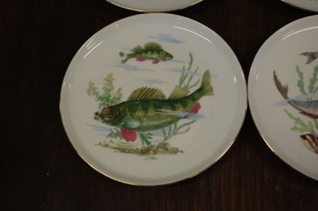 (n-7330) CP Colditz, kalataldrikud, 6tk