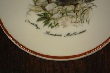 (n-7350/8) Mads Stage, portselanist lõikelaud/ kuumaalus "Part", 1tk 2