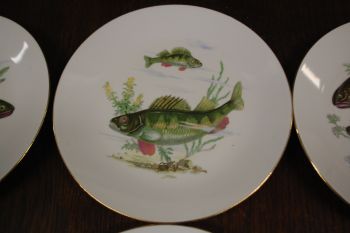 (n-7353) Kahla, kalataldrikud, 6tk 2