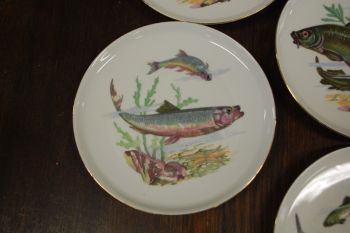 (n-7354) CP Colditz, kalataldrikud, 6tk 2