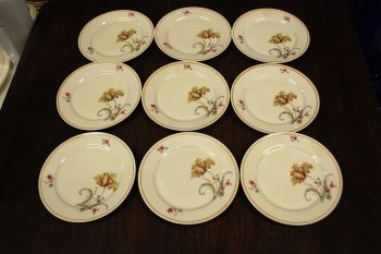 (n-7357/2) Bavaria Tirschenreuth PT, kreemikad koogitaldrikud, 9tk