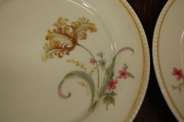 (n-7357/2) Bavaria Tirschenreuth PT, kreemikad koogitaldrikud, 9tk