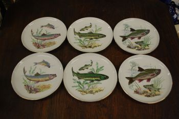 (n-7354) CP Colditz, kalataldrikud, 6tk